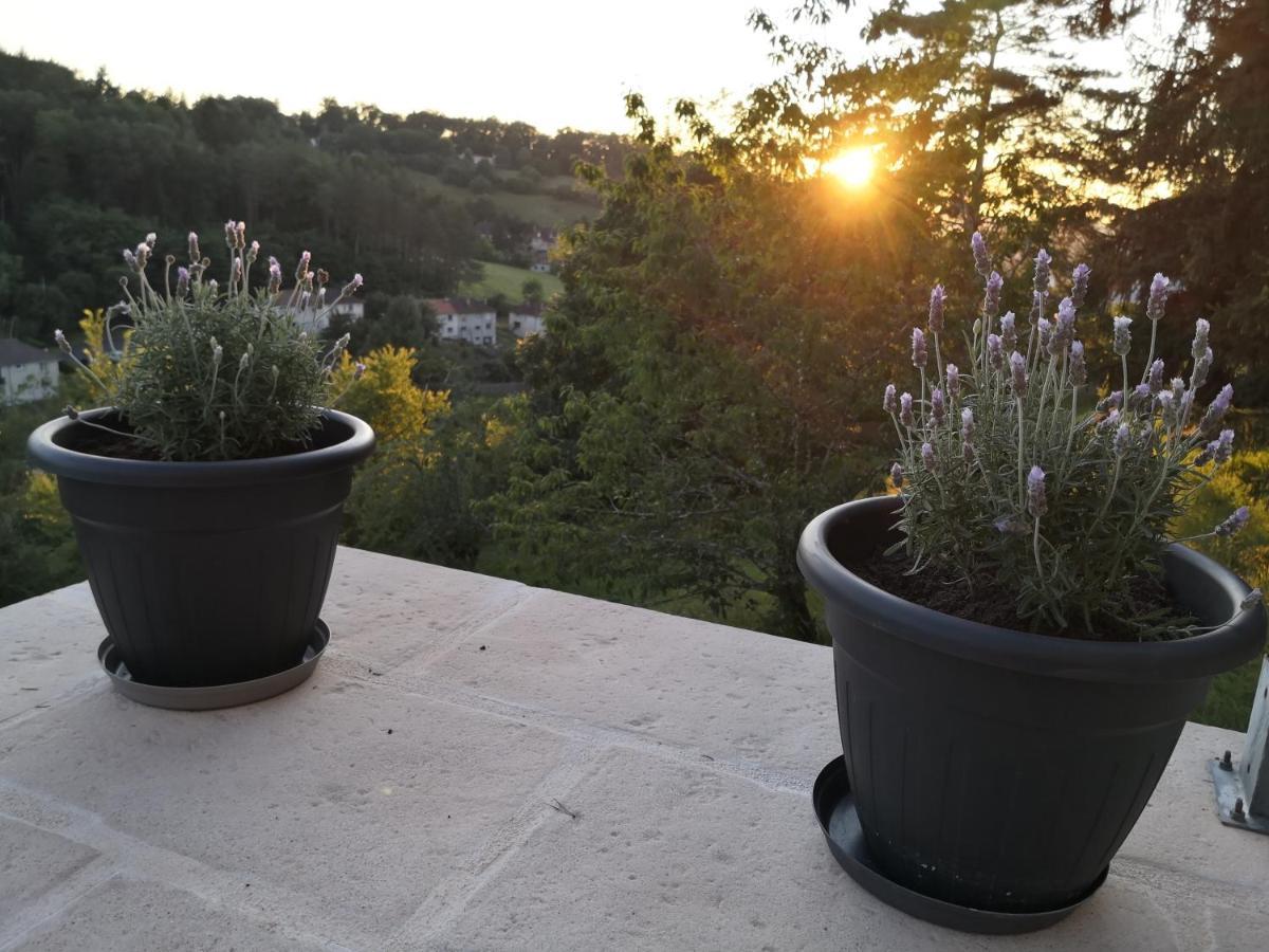 Chambre Meublee Avec Vue Panoramique A Perigueux Sanilhac  Eksteriør billede